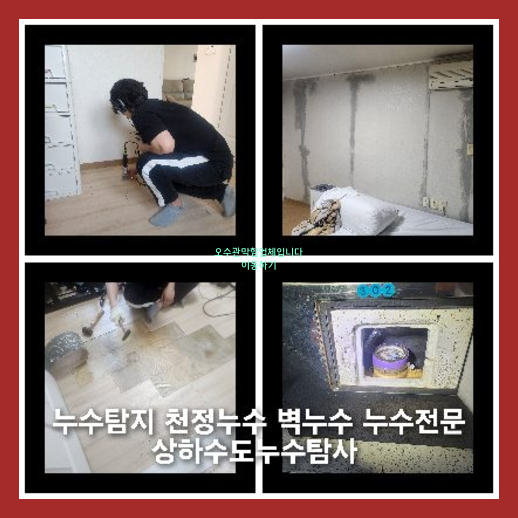 하수구역류