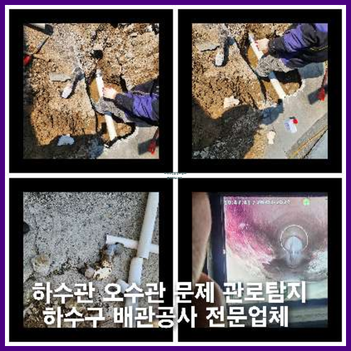 횡주관세정비용
