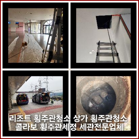 횡주관세정가격비교