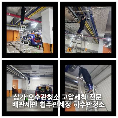 성북구정화조막힘